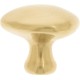 Puxador Ponto Orgânico Dourado Matte PVD Altero Casa M1226